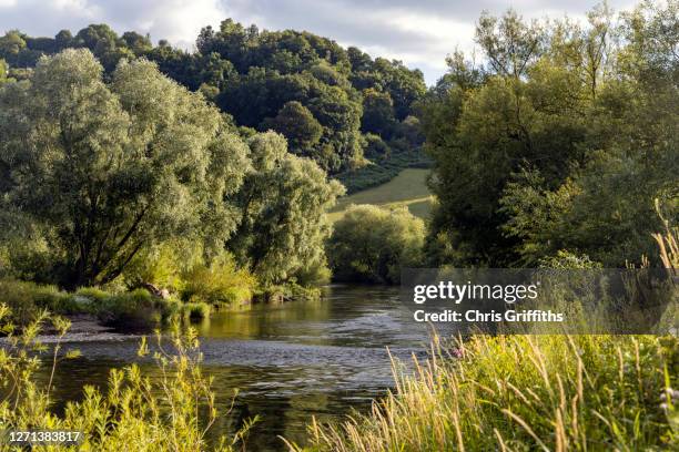 river wye at kerne bridge, herefordshire, u.k. - herefordshire stockfoto's en -beelden