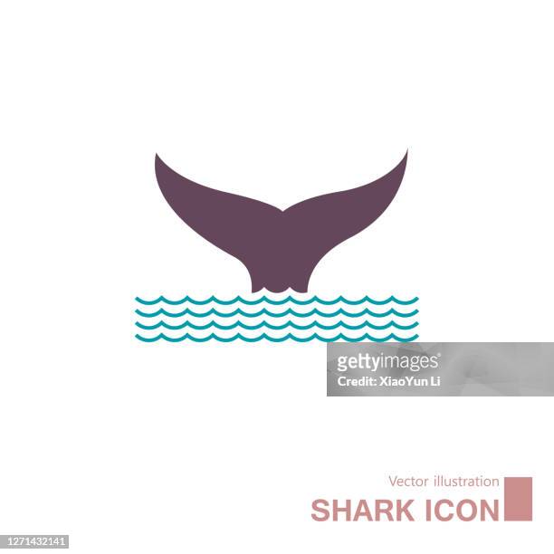 vector drawing of marine life. - aquatic organism stock illustrations