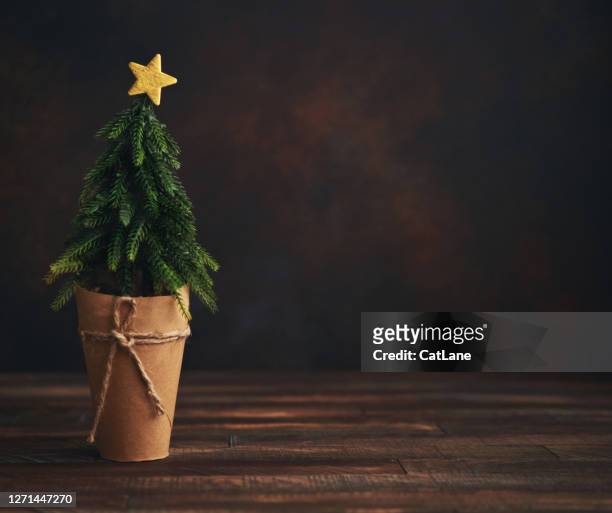 weihnachtshintergrund mit weihnachtsbaum und stern - rustic star stock-fotos und bilder