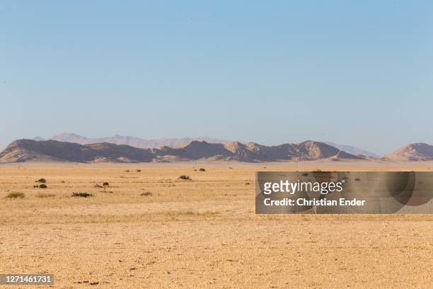 Hills in an area where uranium is mined, stand in the background of a desert landscape near Swakopmund, Namibia, on April 4, 2019. Located on the...