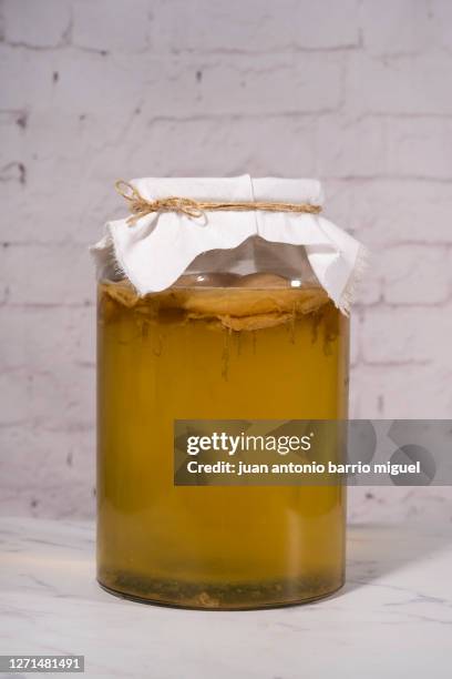 homemade kombucha tea - kombu stock pictures, royalty-free photos & images