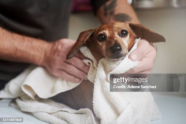 ich bin bereit für meinen schlag trocken - trocknen stock-fotos und bilder