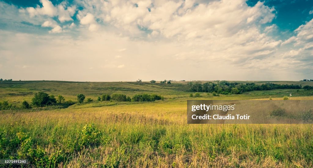 Iowa prairie landscape