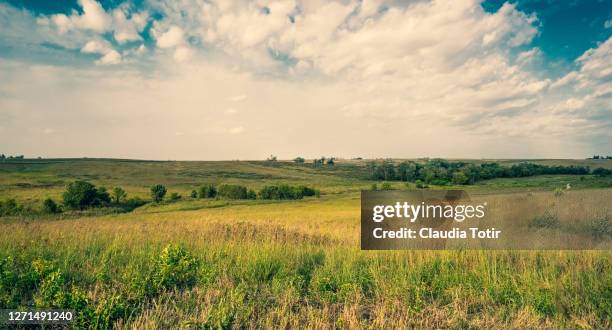 iowa prairie landscape - prateria zona erbosa foto e immagini stock