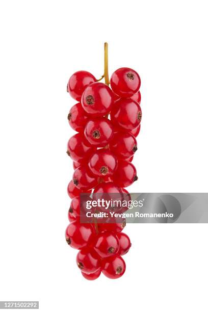 redcurrant isolated on white background - rode bes stockfoto's en -beelden