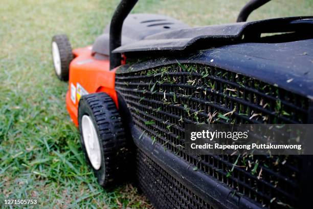 lawn mower cutting green grass in backyard. gardening background. - ceifador imagens e fotografias de stock
