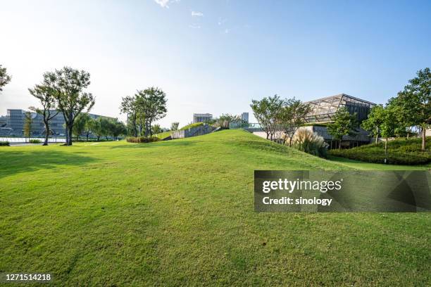 green lawn with city skyline - city park stock-fotos und bilder