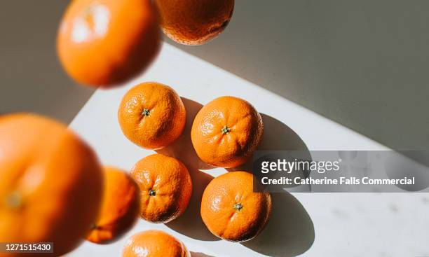 mandarin oranges - tangerine stock pictures, royalty-free photos & images