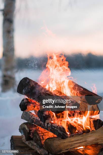 view of burning camp fire - warming up stock pictures, royalty-free photos & images