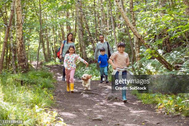 bonding time! - forest walking front stock pictures, royalty-free photos & images