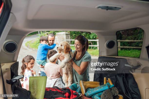 entladen des autos - family dog stock-fotos und bilder