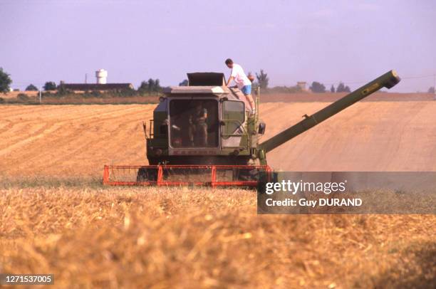 Moissonneuse-batteuse dans un champ de blé en août 1993, en France.