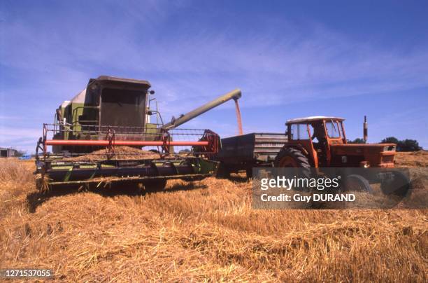 Moissonneuse-batteuse et tracteur dans un champ de blé en août 1993, en France.