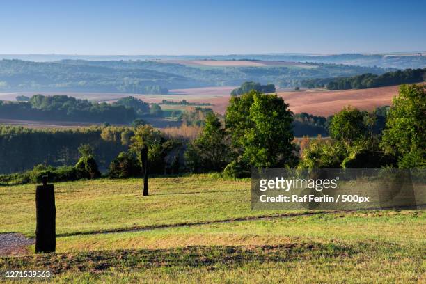 scenic view of field against clear sky - landschap natuur stock pictures, royalty-free photos & images