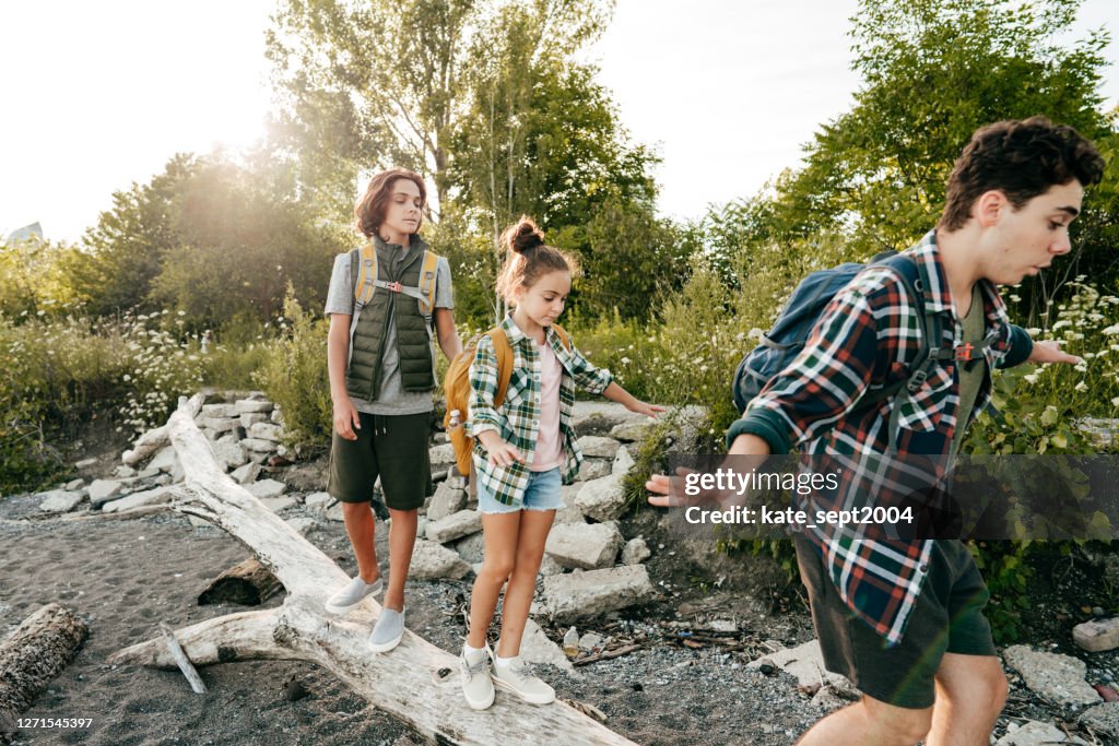 Tree Trunks Kids Three Children Balancing On A Tree Trunk Siblings Walking Down A Log ...