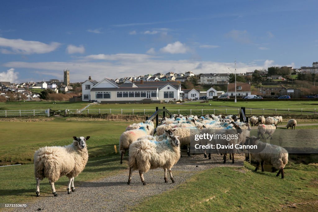 The David Cannon Historical Golf Collection