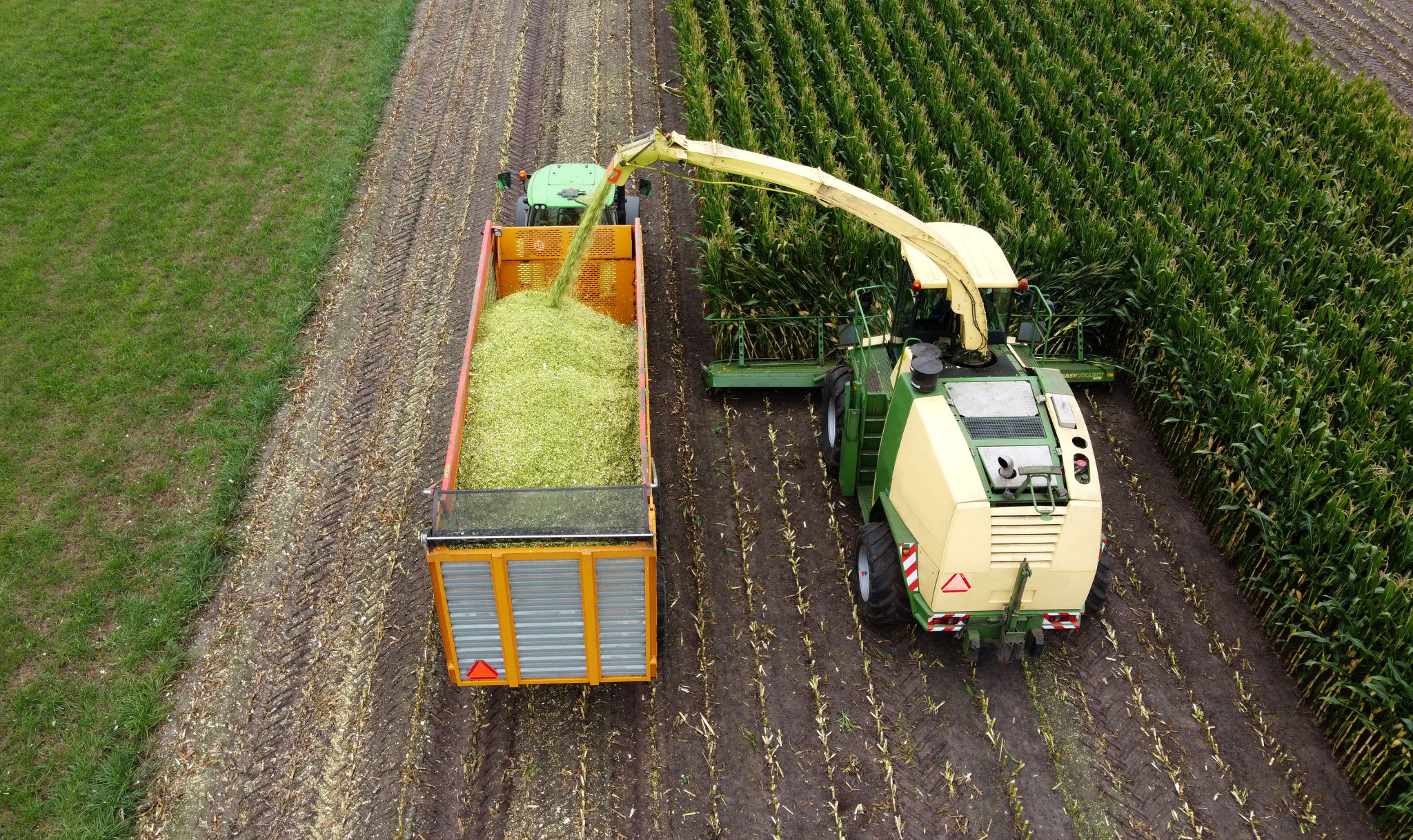 Krone forage harvester
