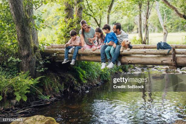 family memories - meadow brook imagens e fotografias de stock