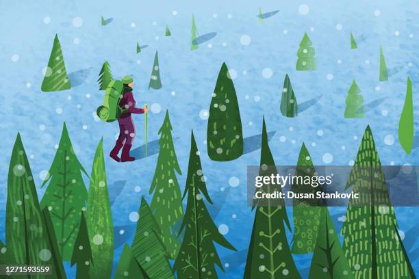 winter landscape with snowy trees and a hiker - 38 north stock illustrations