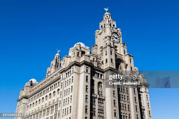 royal liver building under a blue sky - royal liver building stock pictures, royalty-free photos & images