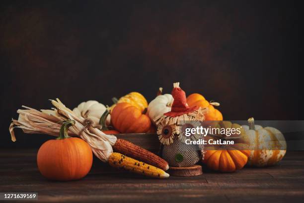 arreglo de otoño de acción de gracias con calabazas y búho de tela en caja de madera - fiesta-de-la-cosecha fotografías e imágenes de stock