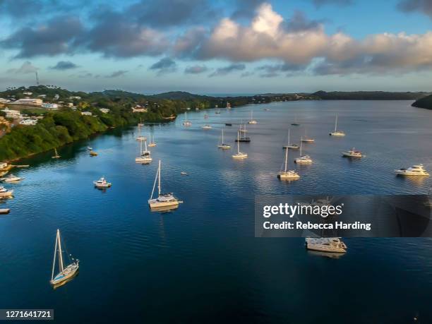 aerial drone photograph of the town of neiafu, vava'u island, kingdom of tonga - vavau islands 個照片及圖片檔