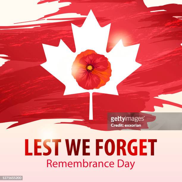 ilustrações, clipart, desenhos animados e ícones de dia da lembrança canadá - remembrance day