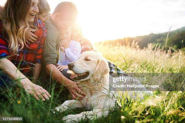 family with three children and dog sitting on grass in nature, resting. - family dogs stock pictures, royalty-free photos & images