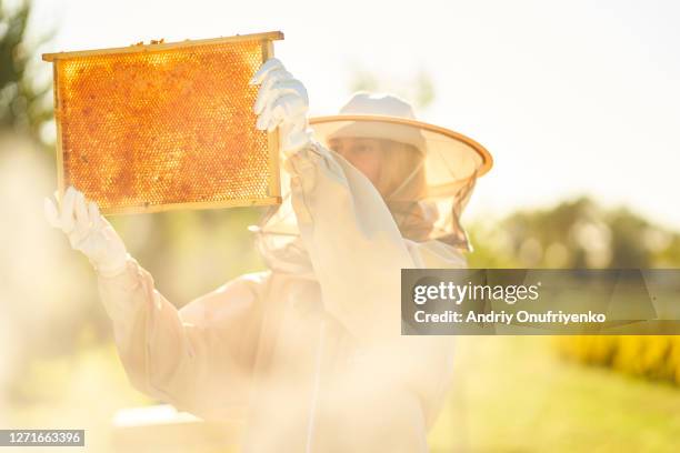 bee keeper - bee keeper stockfoto's en -beelden