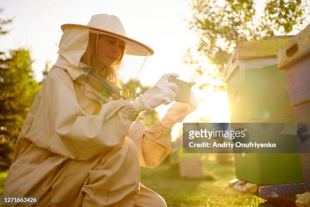 bee keeper - apiculture stock pictures, royalty-free photos & images