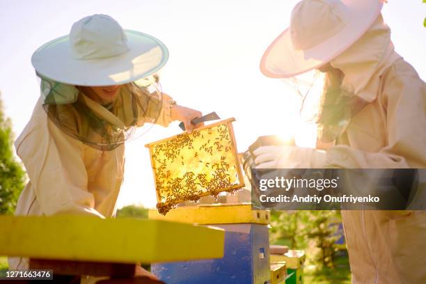 bee keeper - bee keeper stockfoto's en -beelden