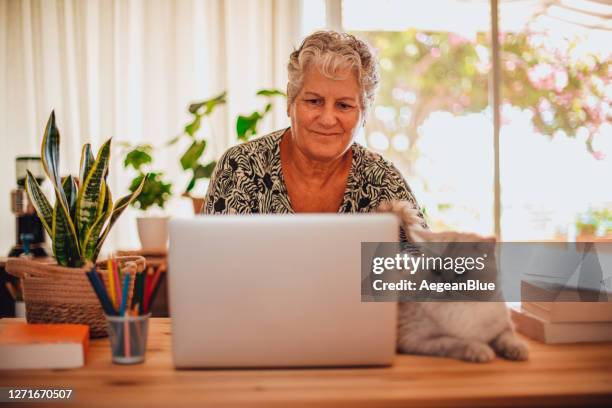 grandmother and her pet video calling on laptop with her relatives during the lockdown - old lady cat stock pictures, royalty-free photos & images