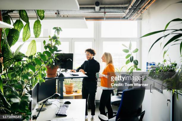 two colleagues looking at work using standing desk - lieu de travail photos et images de collection