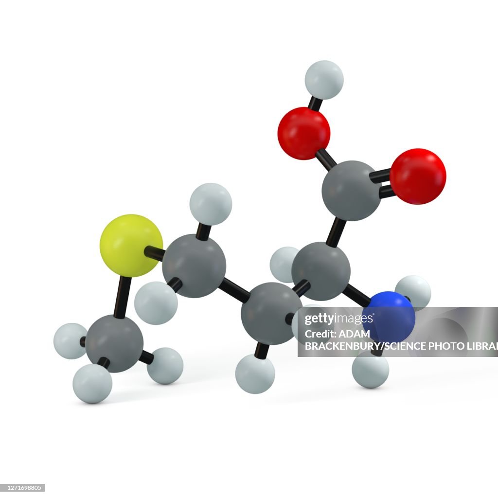 Methionine molecule, illustration