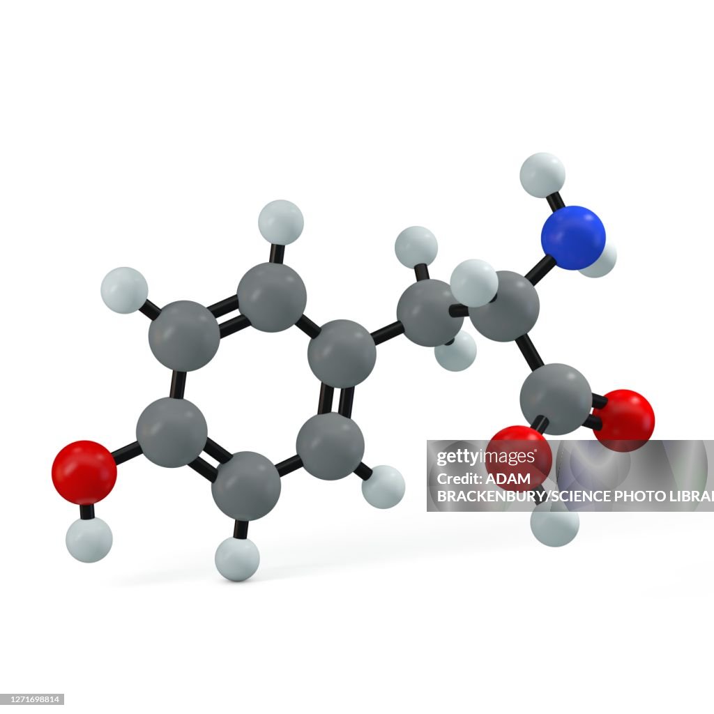 Tyrosine molecule, illustration