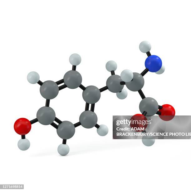 tyrosine molecule, illustration - tyrosine stock illustrations