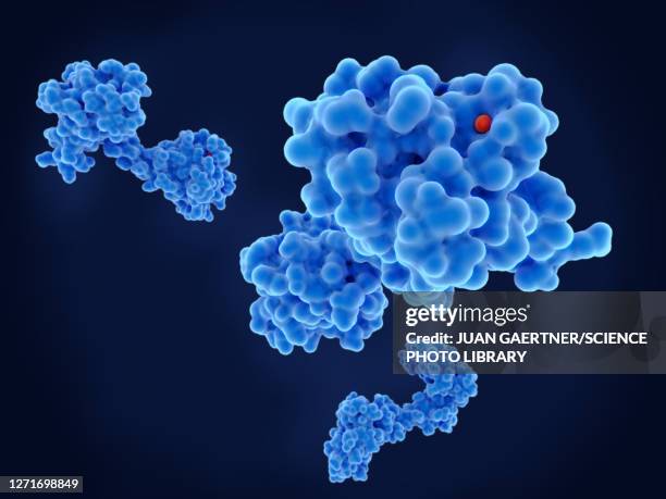 calcium-binding protein molecule, illustration - structure molecule点のイラスト素材／クリップアート素材／マンガ素材／アイコン素材