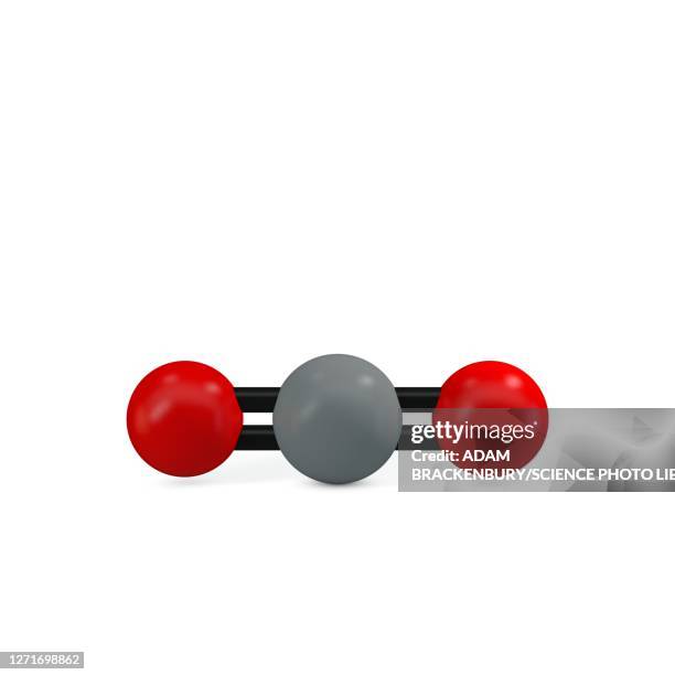 Cardioxide Carbon Dioxide Molecule