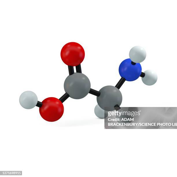 glycine molecule, illustration - legume family stock illustrations