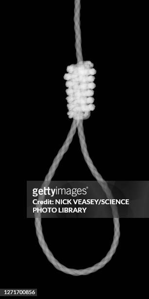 rope hanging noose, x-ray - capital punishment stock pictures, royalty-free photos & images