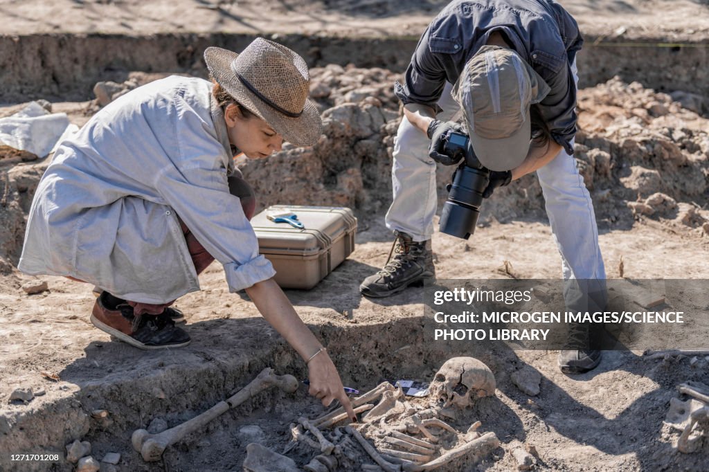 Dig Stock Archaeological Dig High-Res Stock Photo - Getty Images