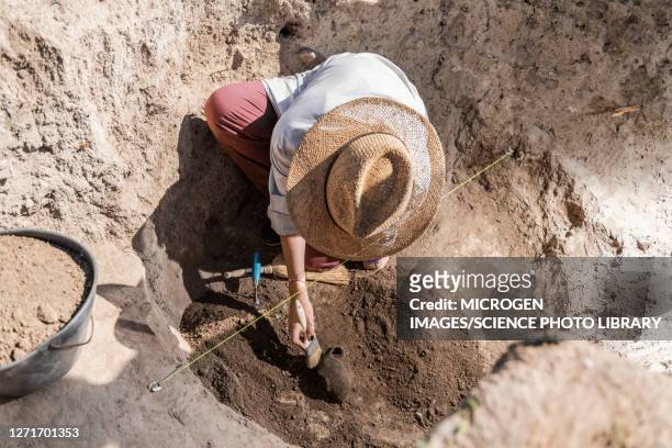 archaeologist excavating pottery - archeoloog stockfoto's en -beelden
