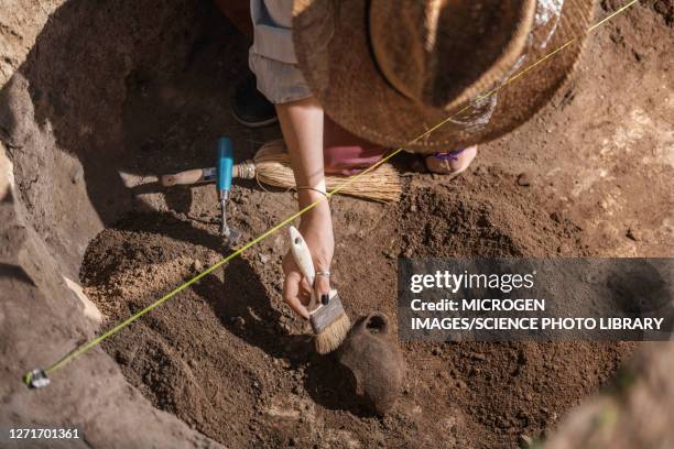 archaeologist excavating pottery - archeologie stockfoto's en -beelden