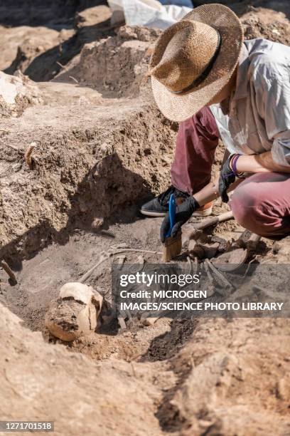 Field Work Anth Anthropology Field Work Photos and Premium High Res Pictures - Getty Images
