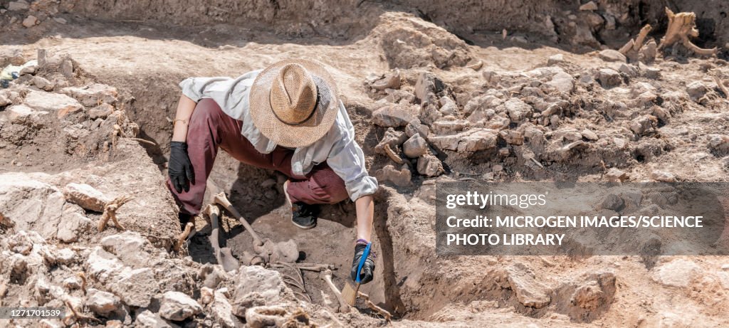 Archaeologist excavating skeleton
