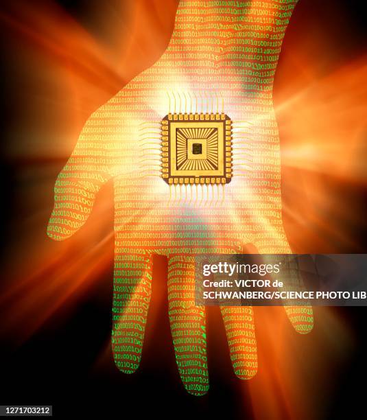 Microchip Implant Photos and Premium High Res Pictures - Getty Images