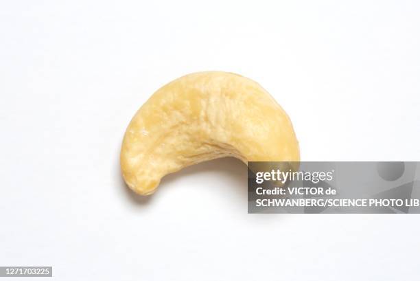 cashew nut - cashew ストックフォトと画像