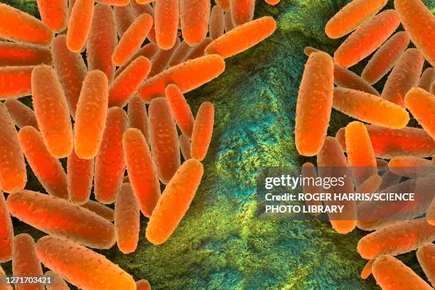 pasteurella multocida bacteria, illustration - コレラ菌点のイラスト素材／クリップアート素材／マンガ素材／アイコン素材