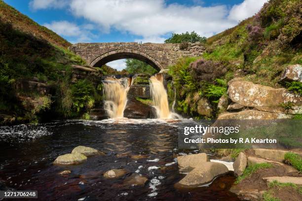 68 Shire Country Park Stock Photos, High-Res Pictures, and Images
