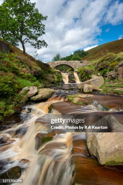 68 Shire Country Park Stock Photos, High-Res Pictures, and Images